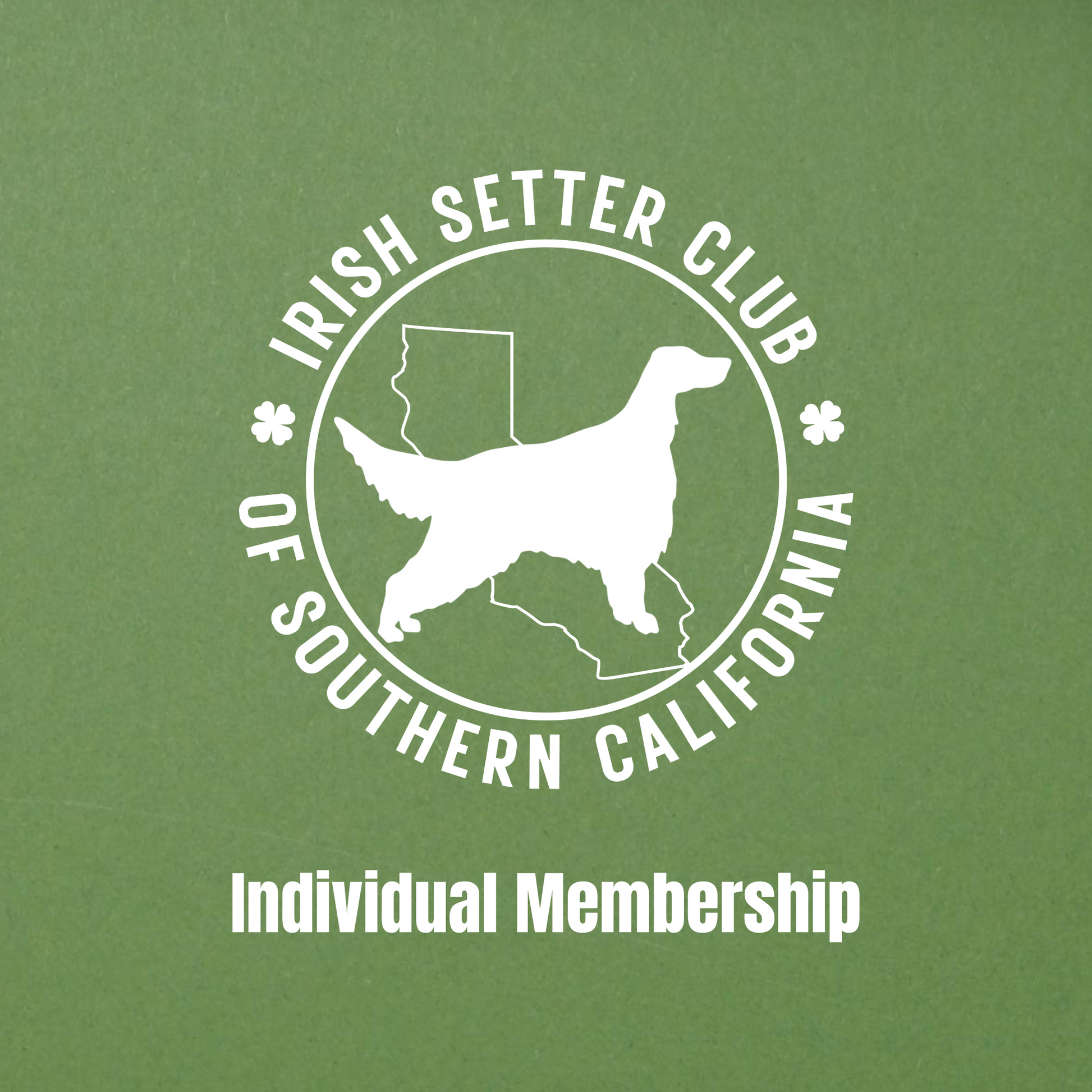 Individual Membership
